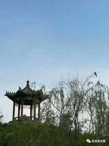 赵县爆料最新,揭秘当地最新热点事件! 第3张 赵县爆料最新,揭秘当地最新热点事件! 第3张